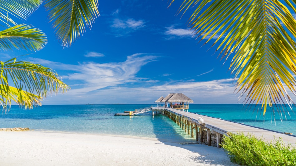 Traumziel Bahamas - Was du alles über die Bahamas wissen musst 7 traumreise sichern bahamas traumstraende 07