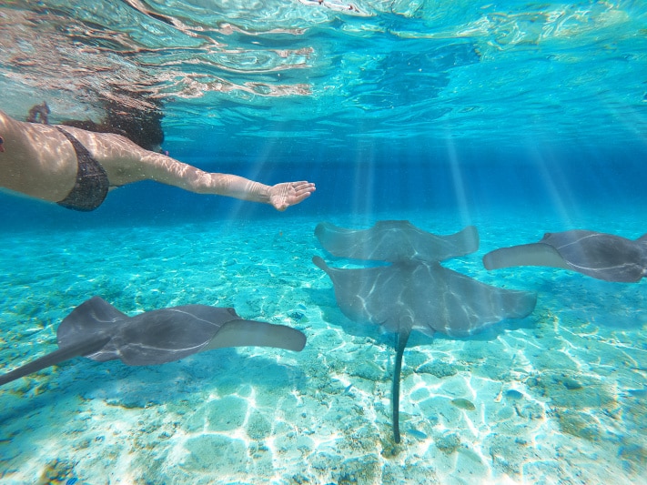 Traumziel Bahamas - Was du alles über die Bahamas wissen musst 8 traumreise sichern bahamas unterwasser 08
